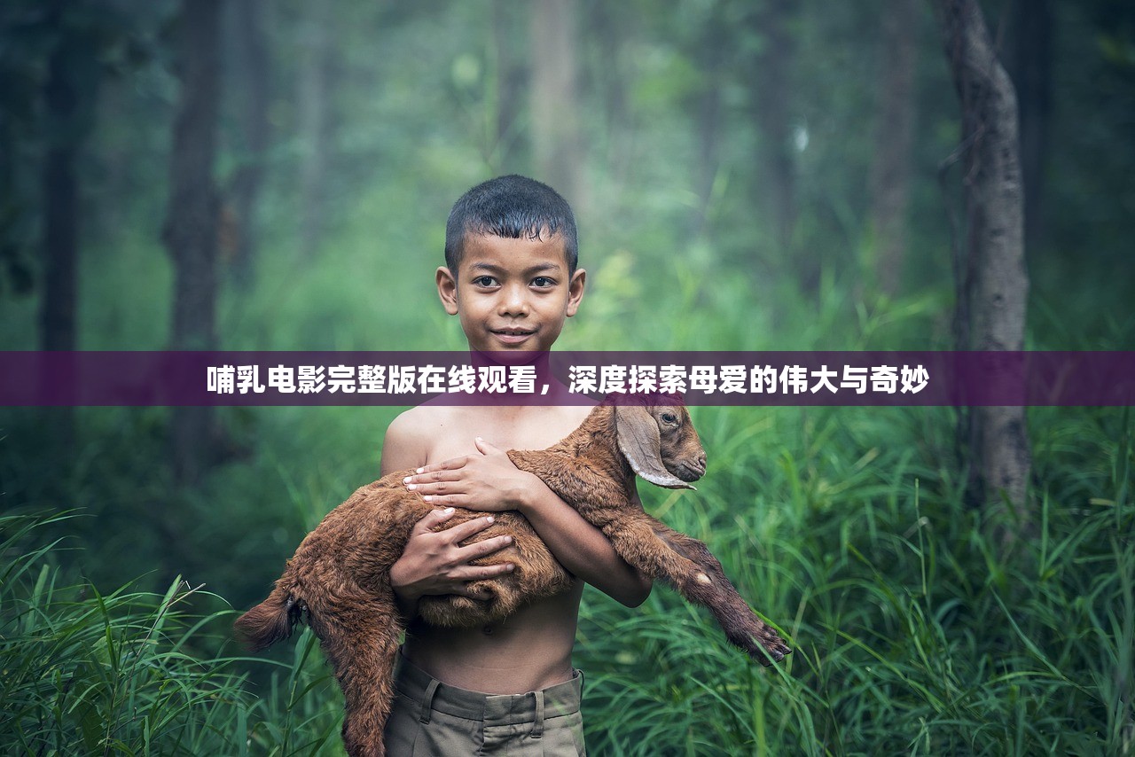 哺乳电影完整版在线观看，深度探索母爱的伟大与奇妙