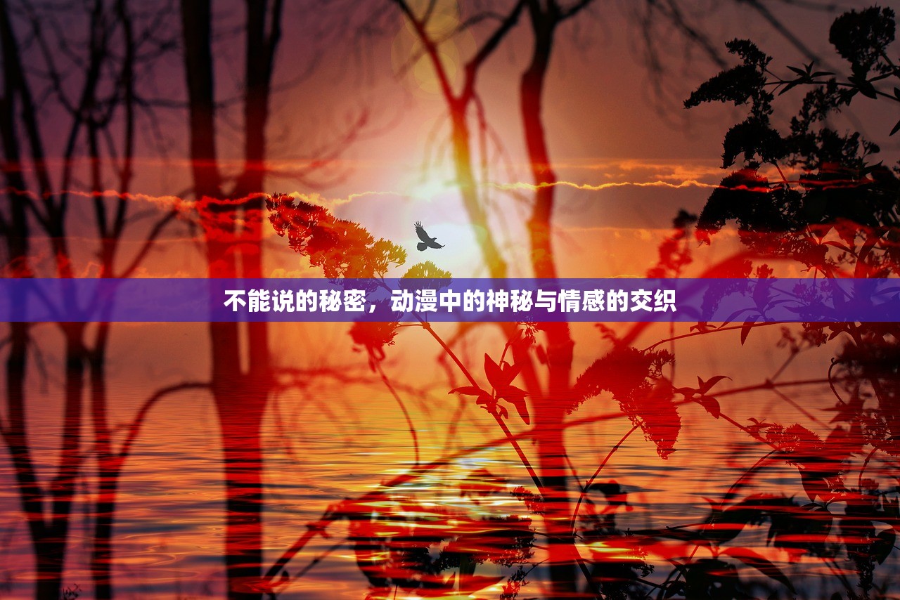 不能说的秘密，动漫中的神秘与情感的交织