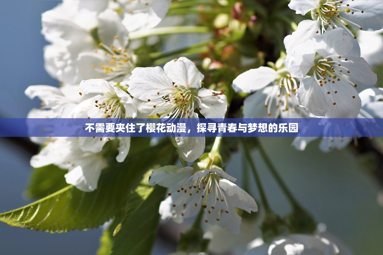 不需要夹住了樱花动漫，探寻青春与梦想的乐园
