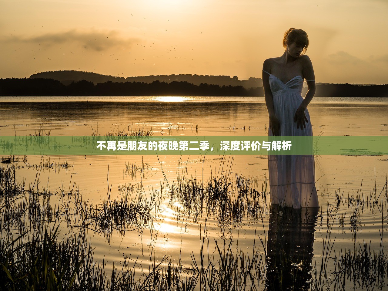 不再是朋友的夜晚第二季，深度评价与解析