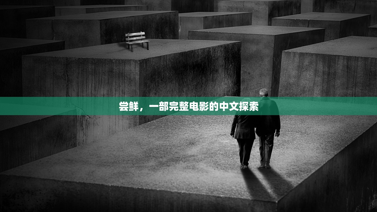 尝鲜，一部完整电影的中文探索