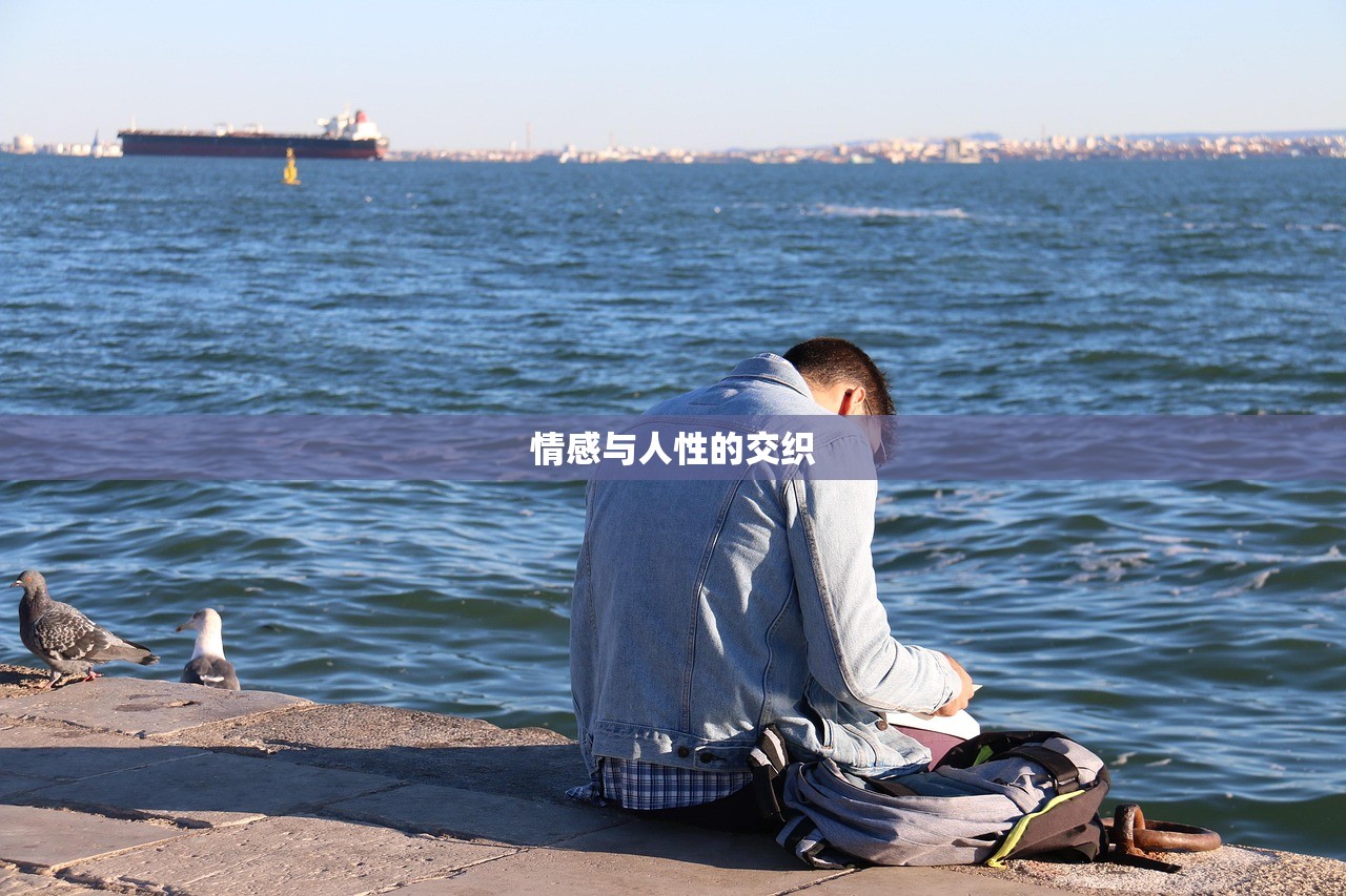 情感与人性的交织