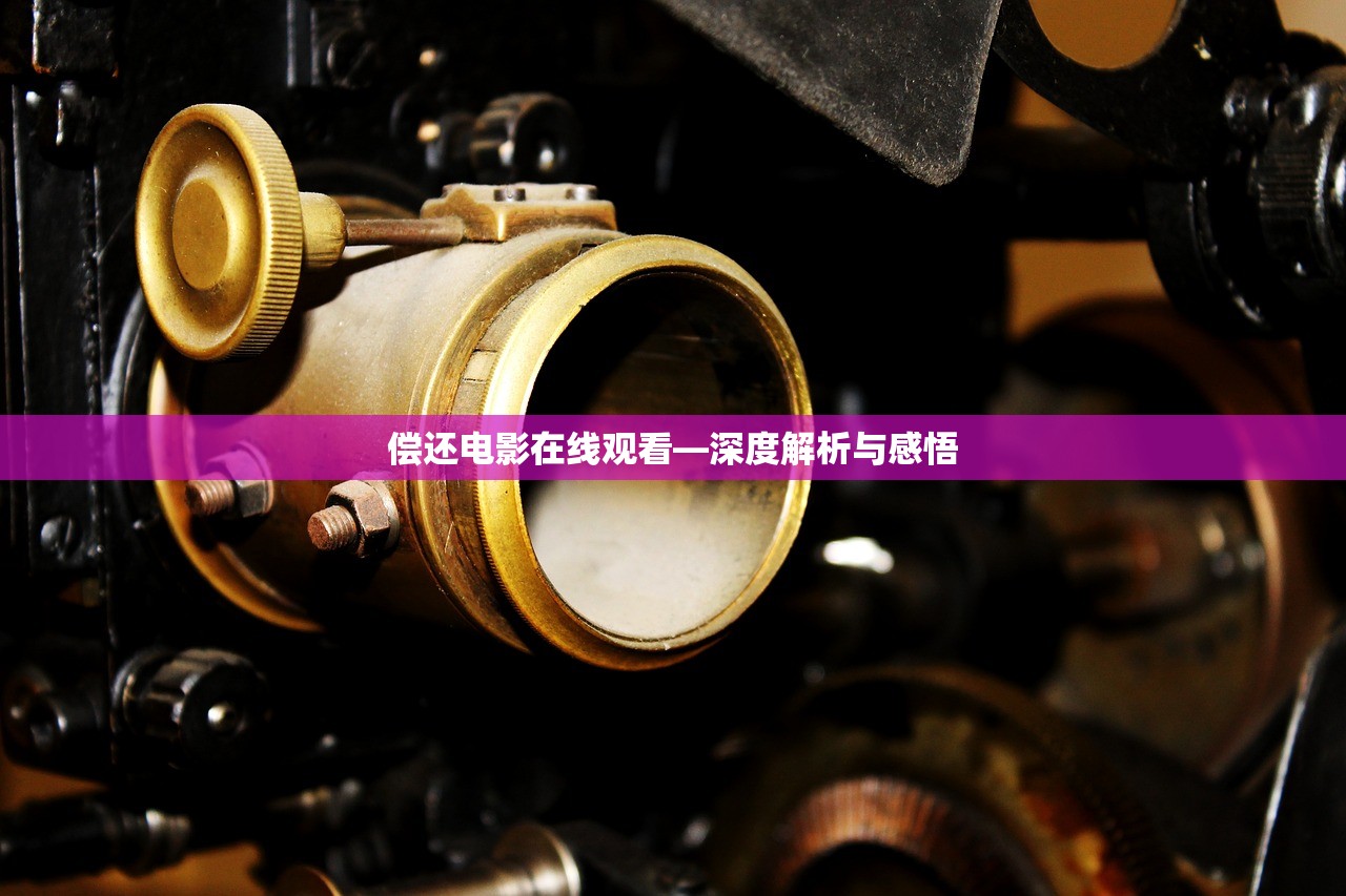 偿还电影在线观看—深度解析与感悟