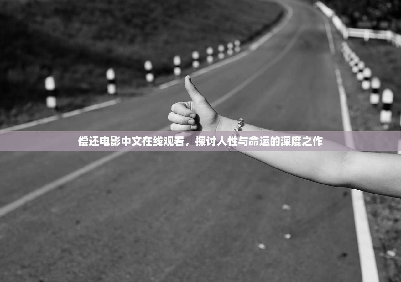 偿还电影中文在线观看，探讨人性与命运的深度之作