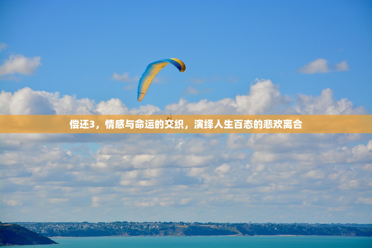 偿还3，情感与命运的交织，演绎人生百态的悲欢离合