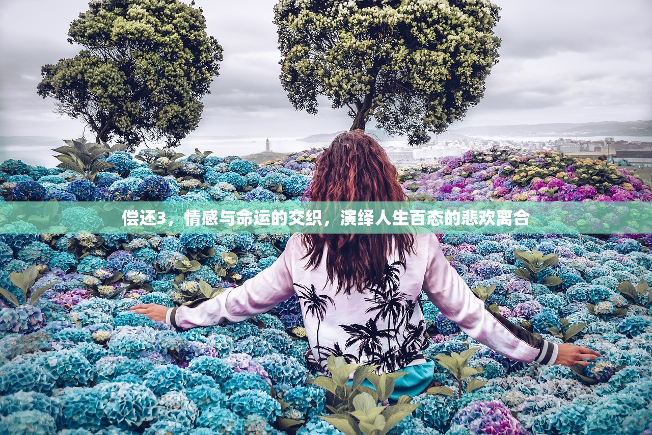 偿还3，情感与命运的交织，演绎人生百态的悲欢离合