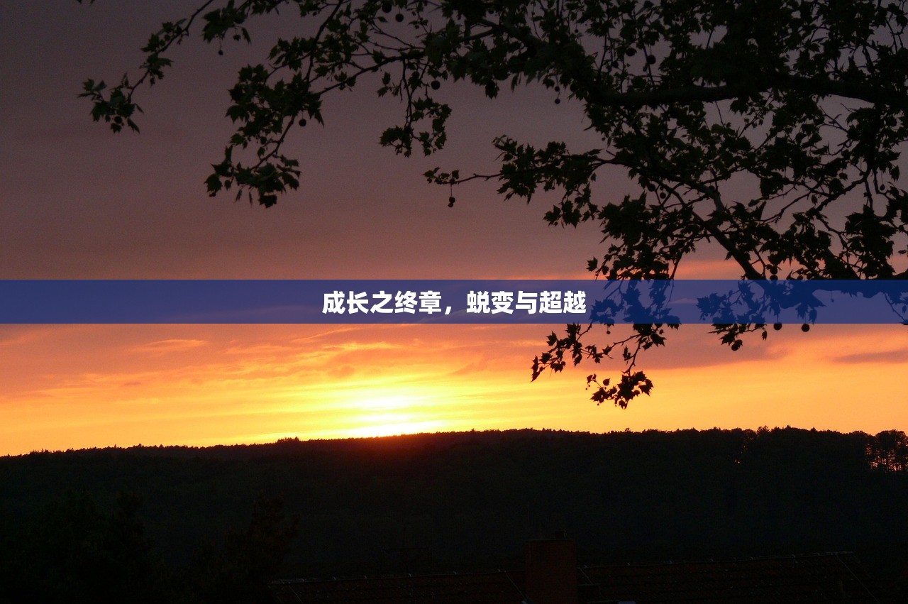 成长之终章，蜕变与超越