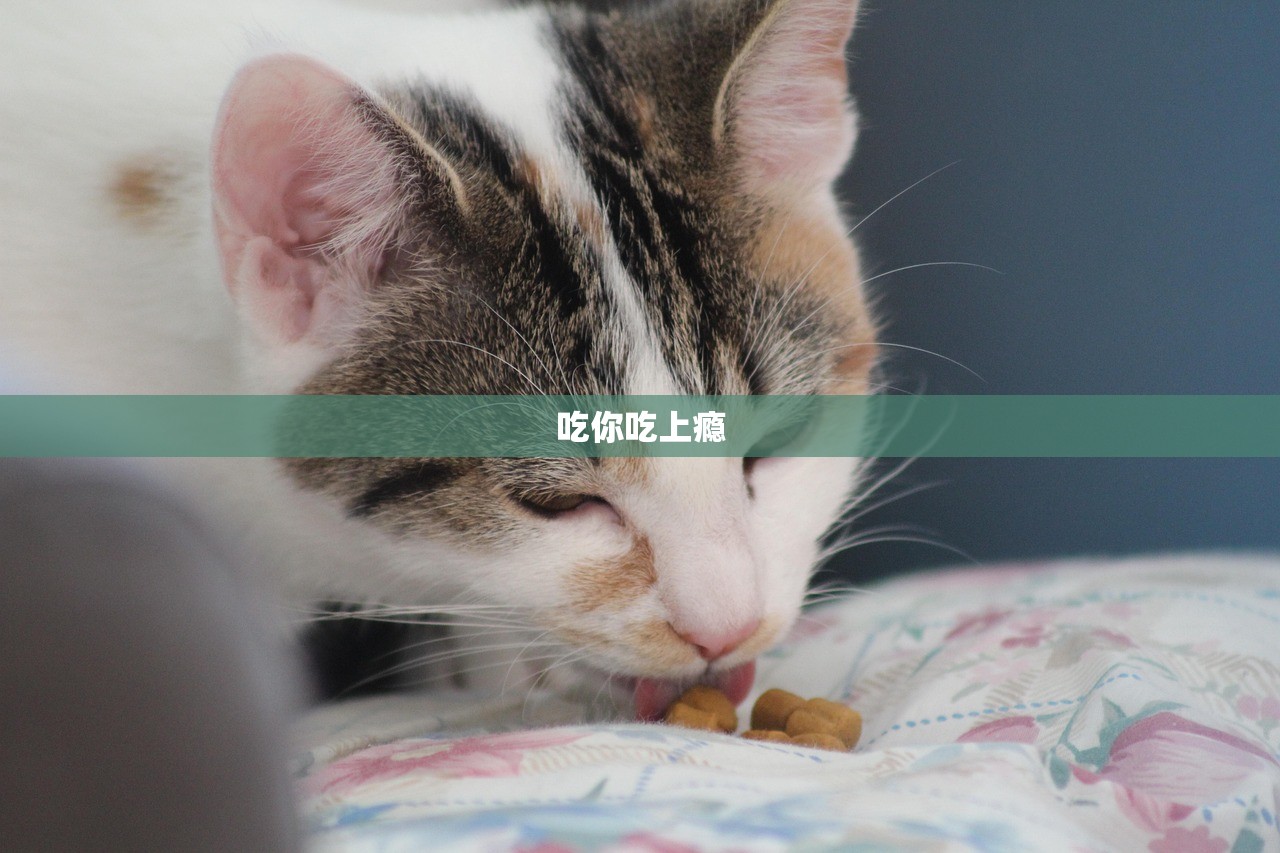 吃你吃上瘾