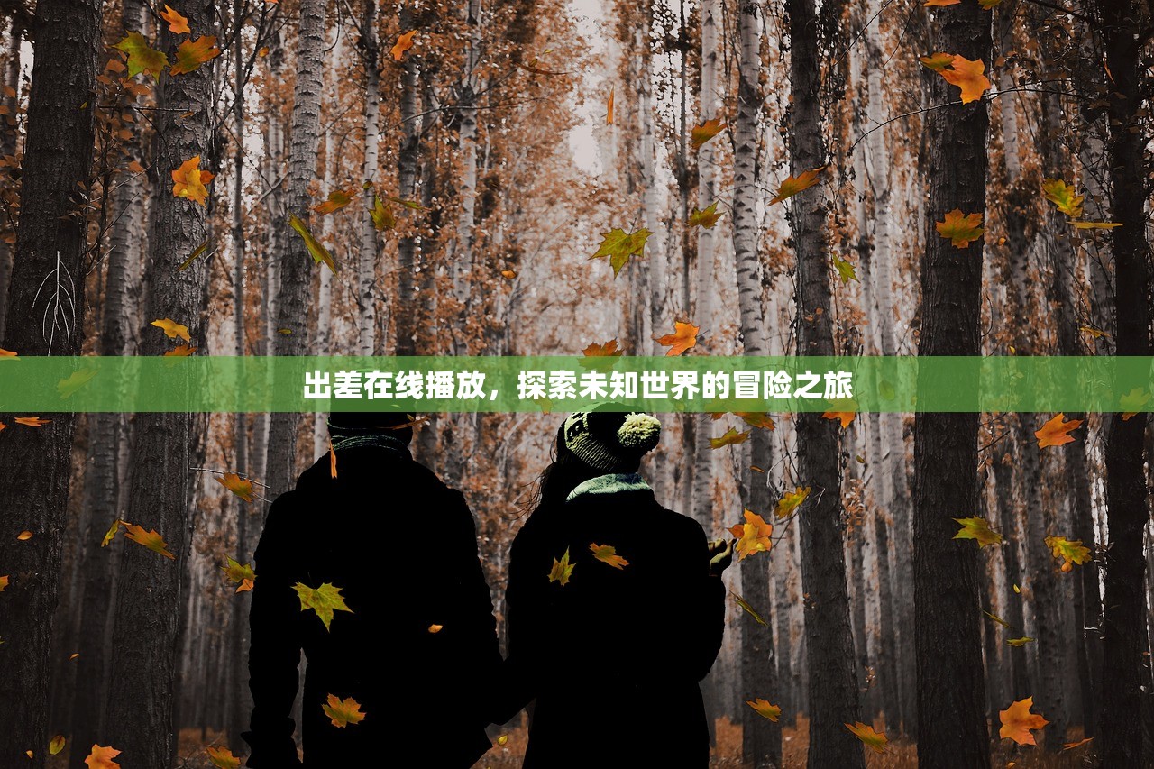 出差在线播放，探索未知世界的冒险之旅