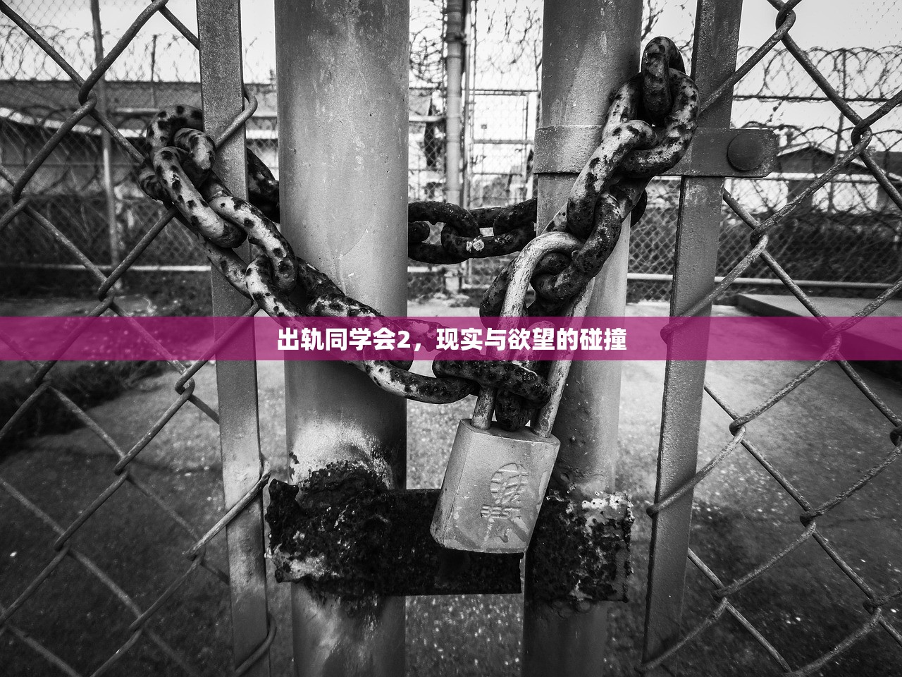 出轨同学会2，现实与欲望的碰撞
