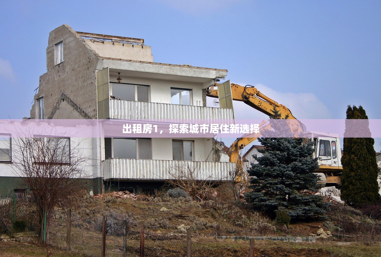 出租房1，探索城市居住新选择