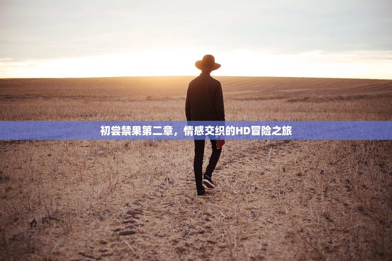 初尝禁果第二章，情感交织的HD冒险之旅