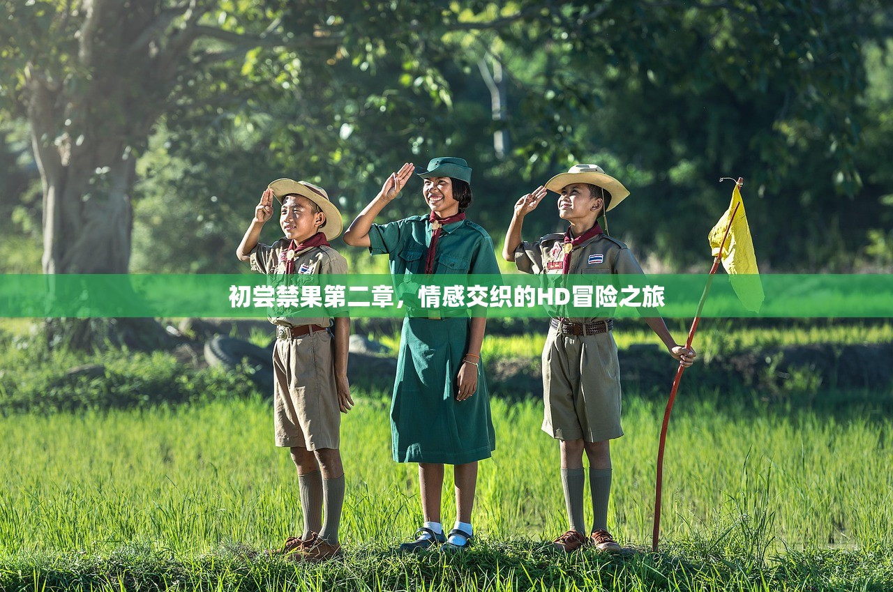 初尝禁果第二章，情感交织的HD冒险之旅