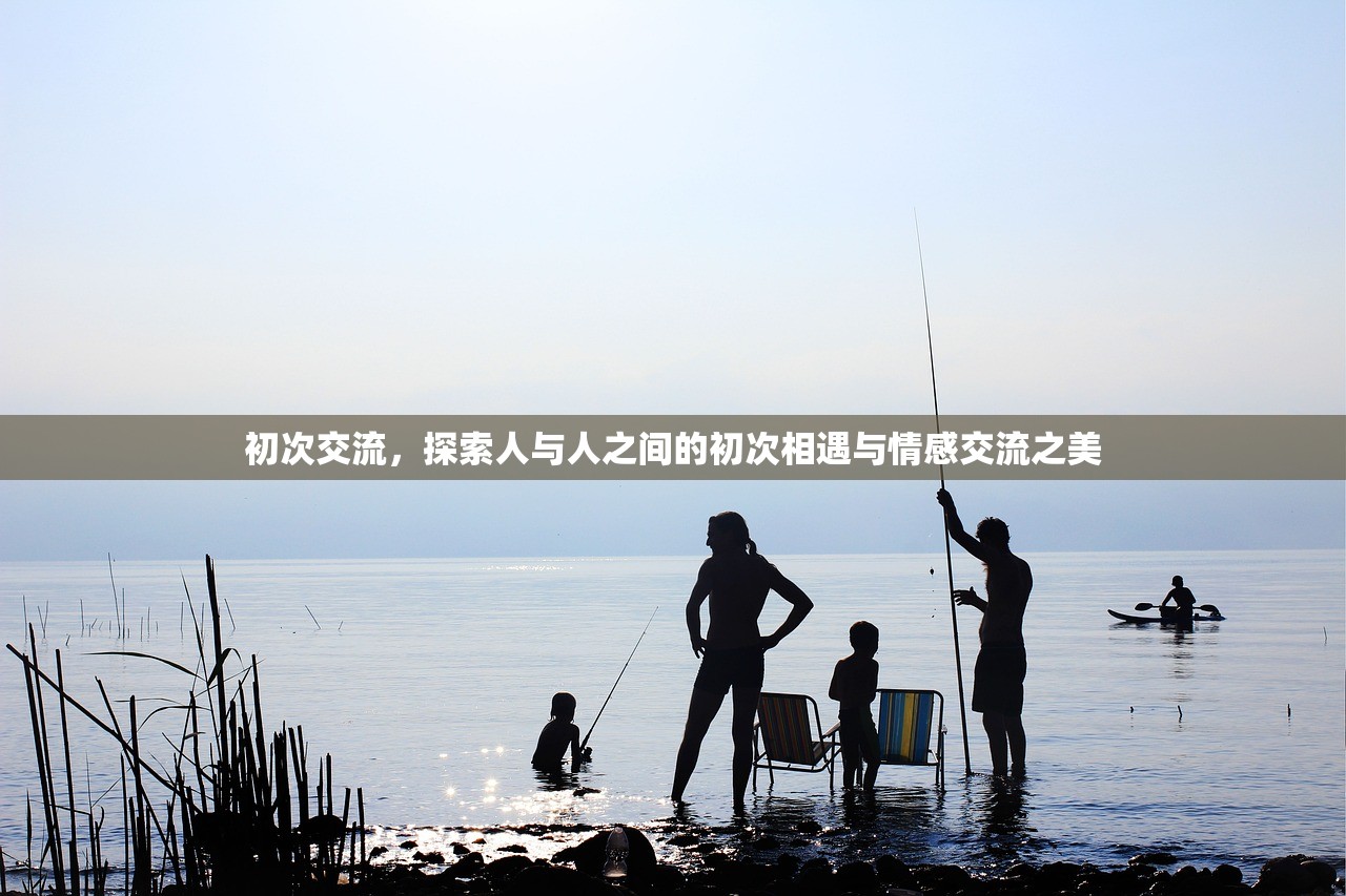 初次交流，探索人与人之间的初次相遇与情感交流之美