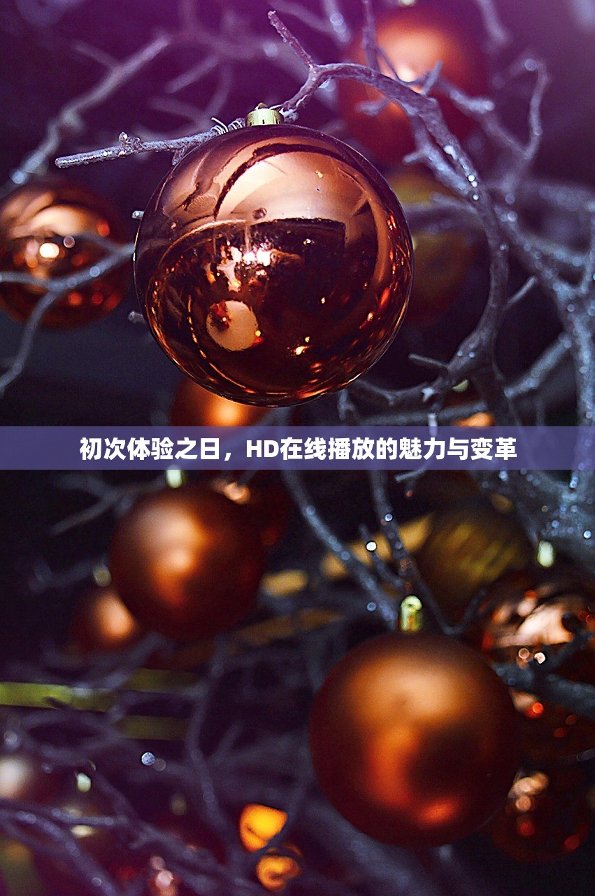 初次体验之日，HD在线播放的魅力与变革