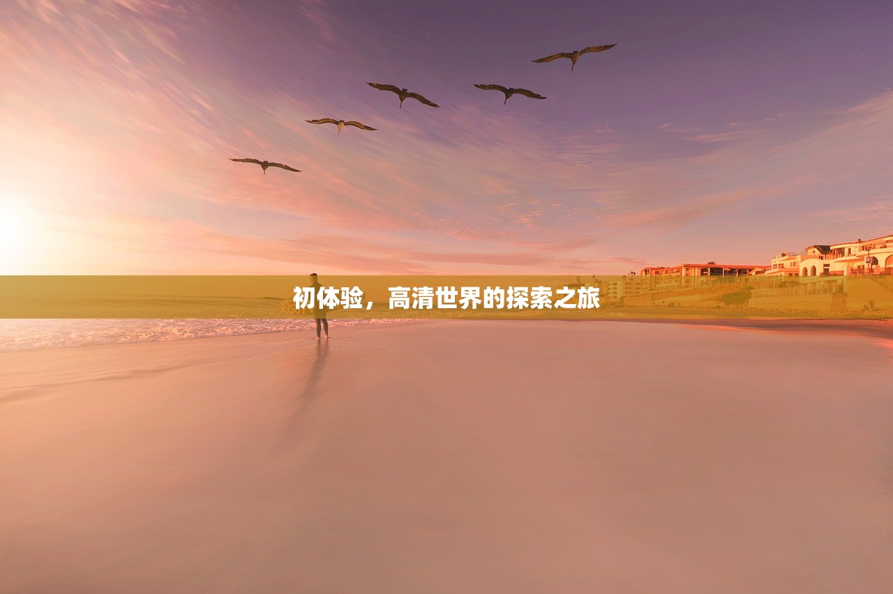 初体验，高清世界的探索之旅