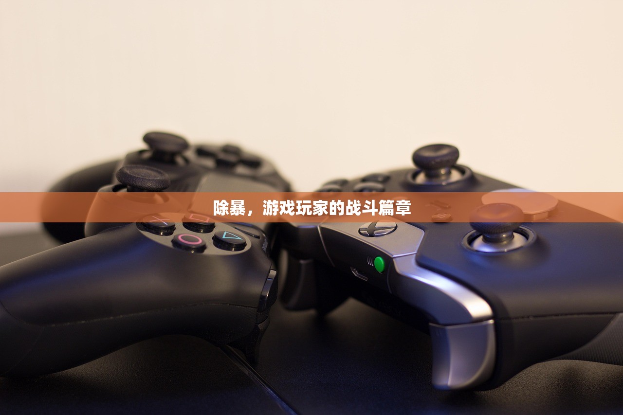 除暴，游戏玩家的战斗篇章