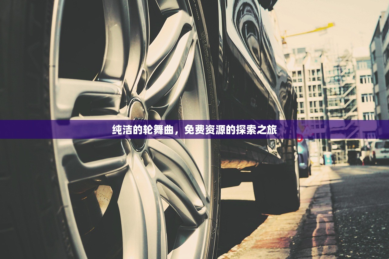 纯洁的轮舞曲，免费资源的探索之旅