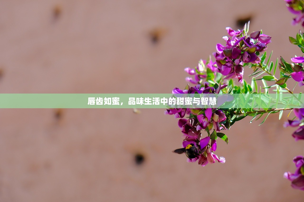 唇齿如蜜，品味生活中的甜蜜与智慧