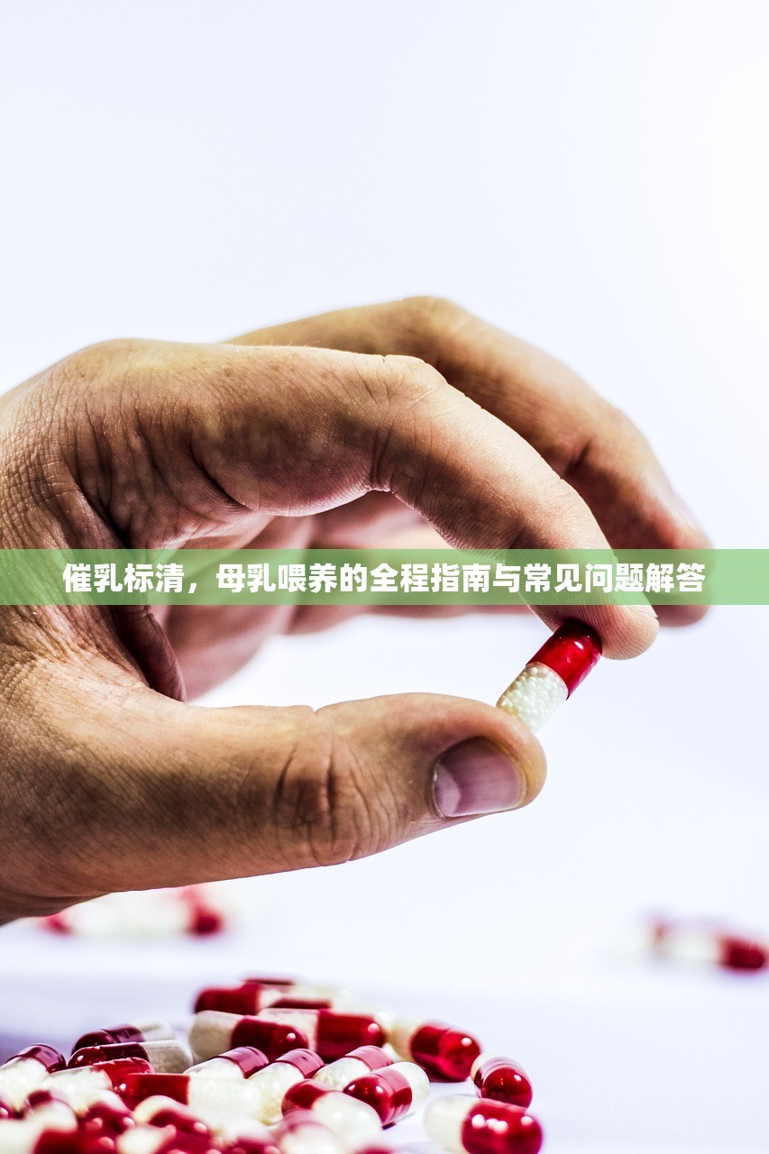 催乳标清，母乳喂养的全程指南与常见问题解答
