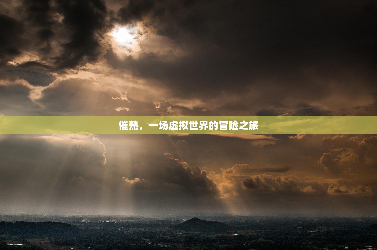 催熟，一场虚拟世界的冒险之旅