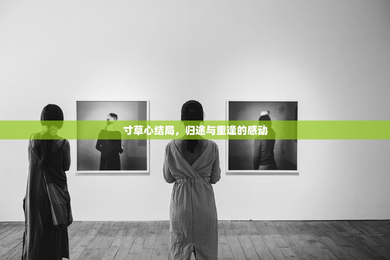 寸草心结局，归途与重逢的感动