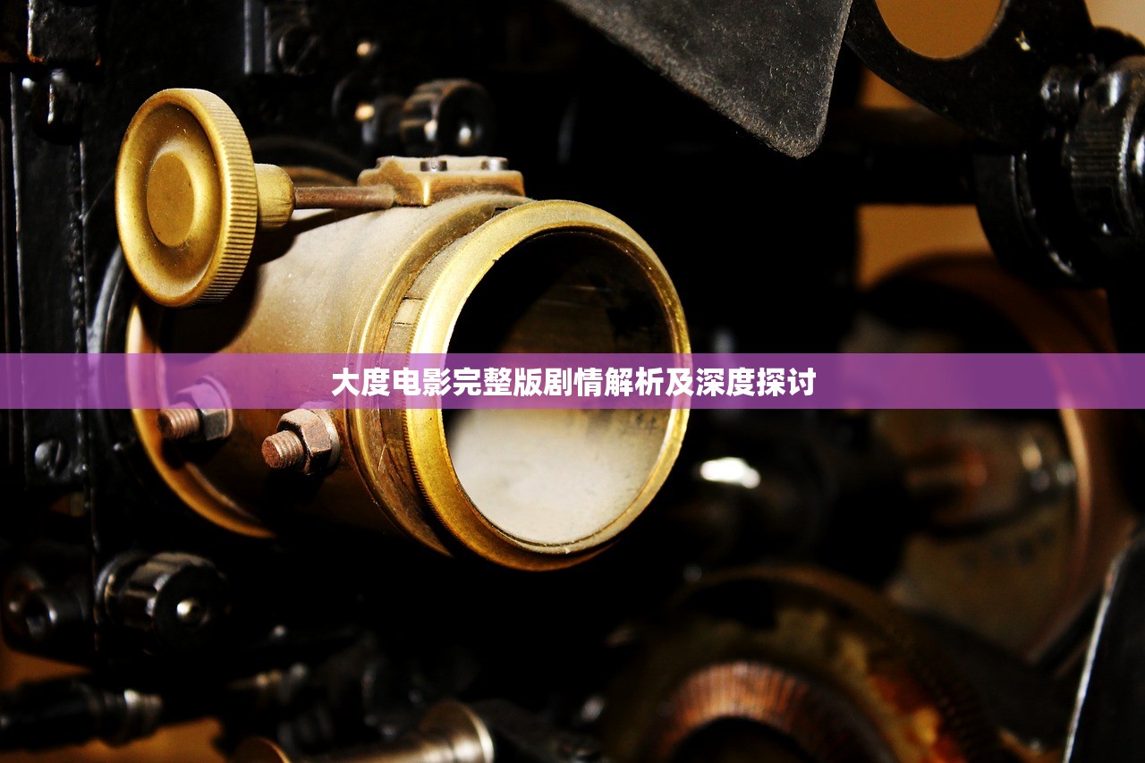 大度电影完整版剧情解析及深度探讨