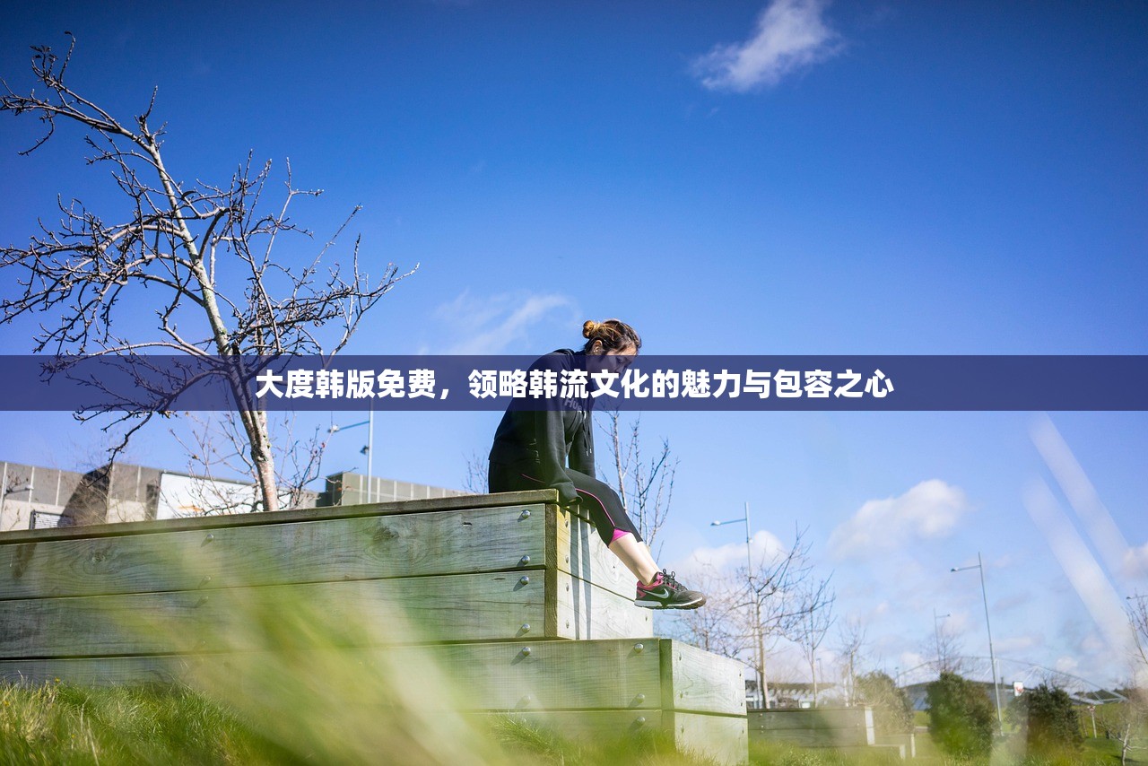 大度韩版免费，领略韩流文化的魅力与包容之心