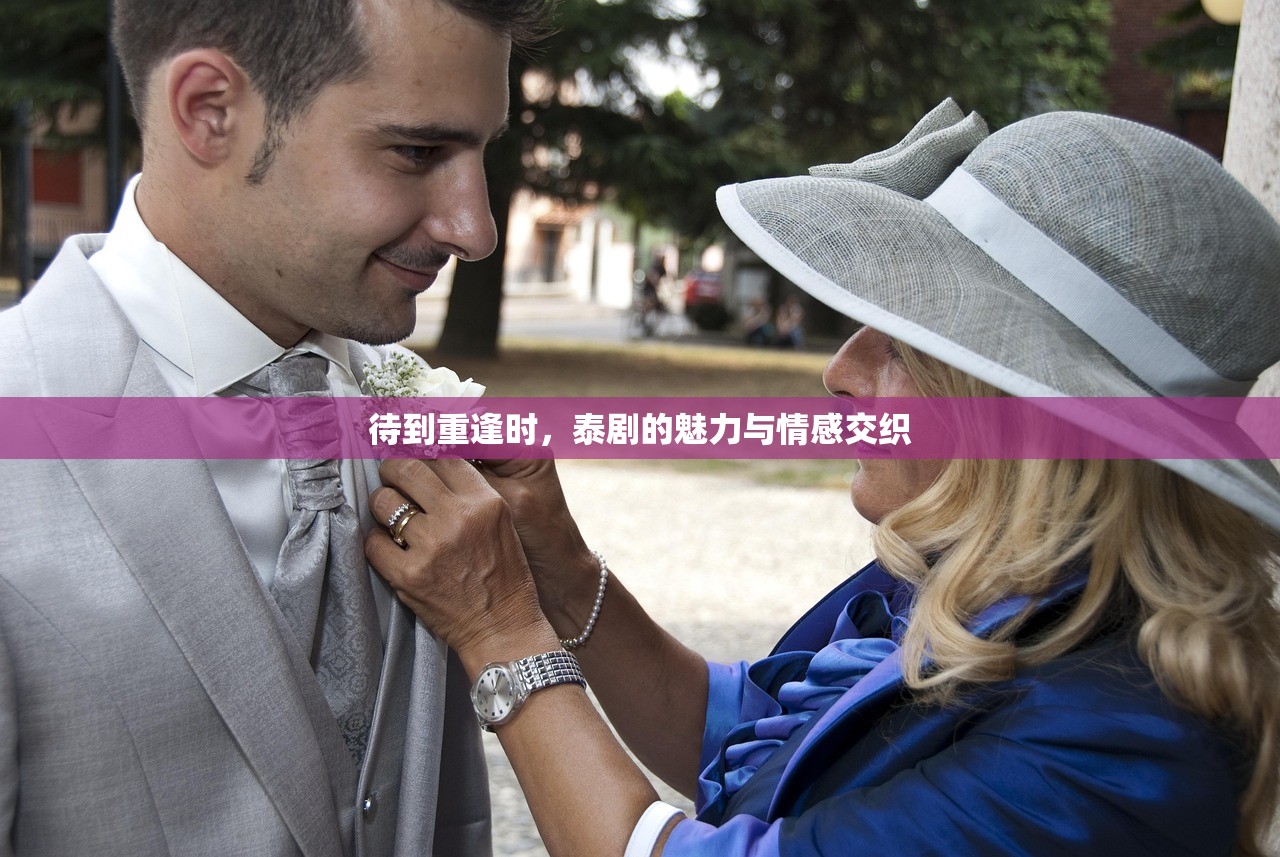 待到重逢时，泰剧的魅力与情感交织
