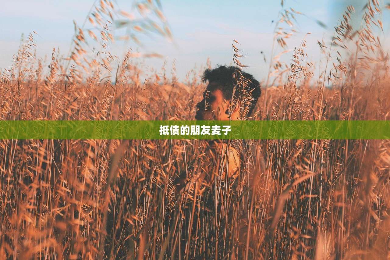 抵债的朋友麦子