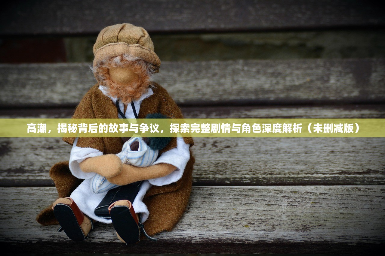 高潮，揭秘背后的故事与争议，探索完整剧情与角色深度解析（未删减版）