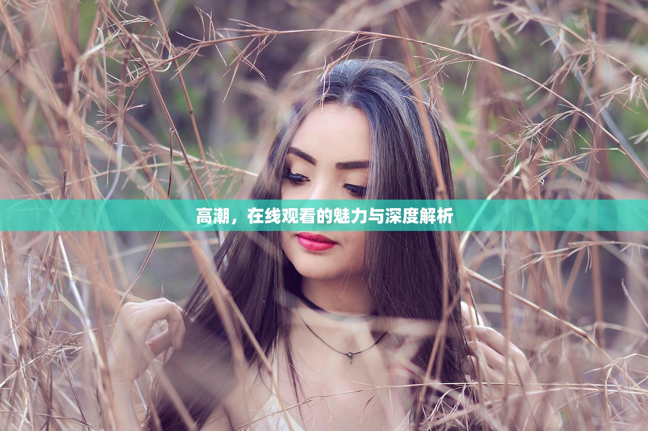 高潮，在线观看的魅力与深度解析