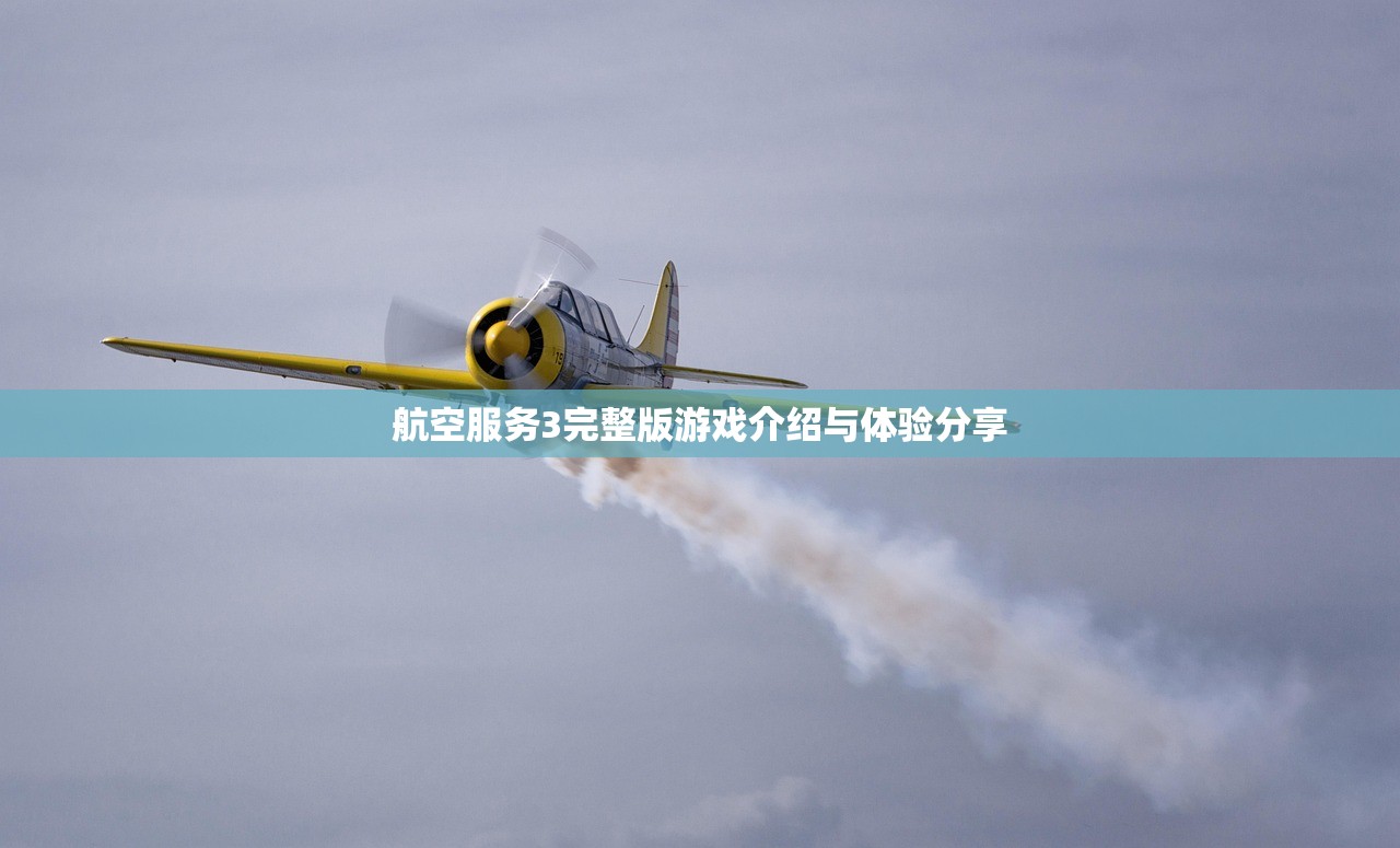 航空服务3完整版游戏介绍与体验分享
