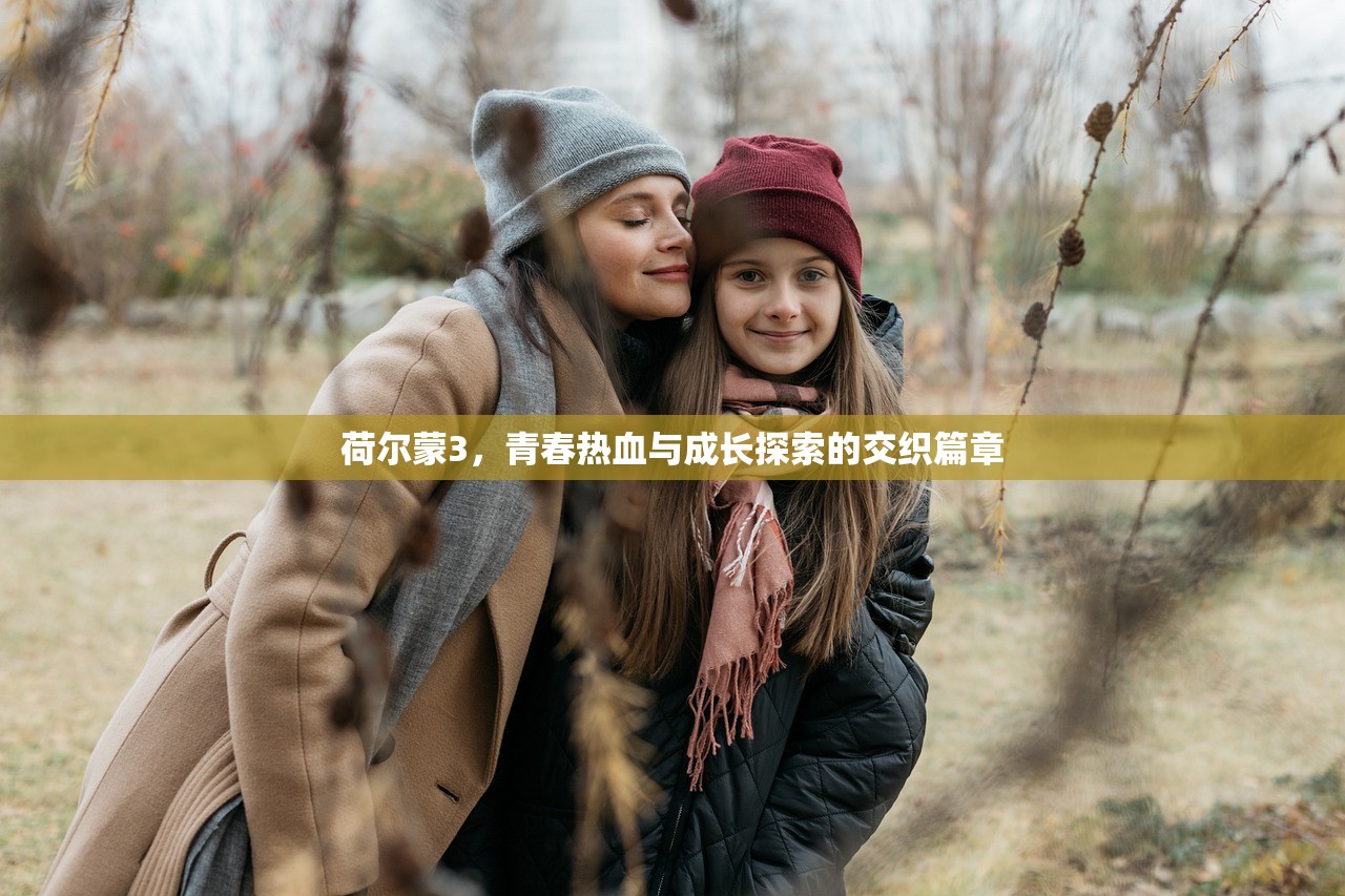 荷尔蒙3，青春热血与成长探索的交织篇章