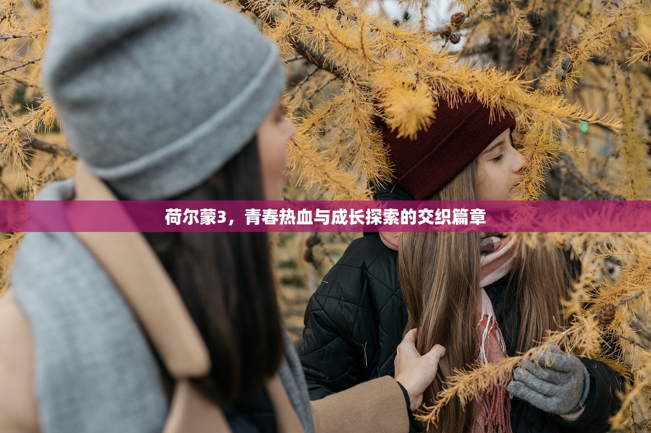 荷尔蒙3，青春热血与成长探索的交织篇章
