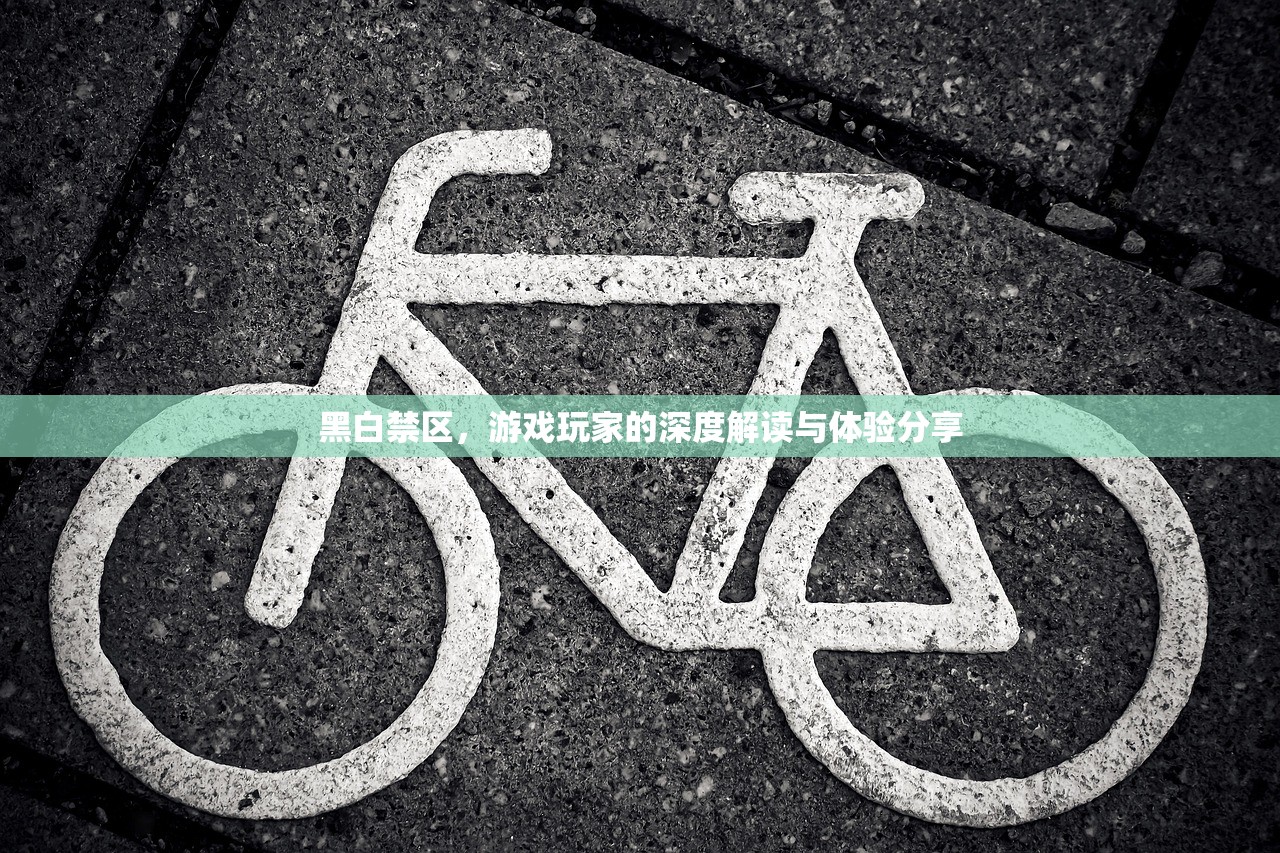 黑白禁区，游戏玩家的深度解读与体验分享