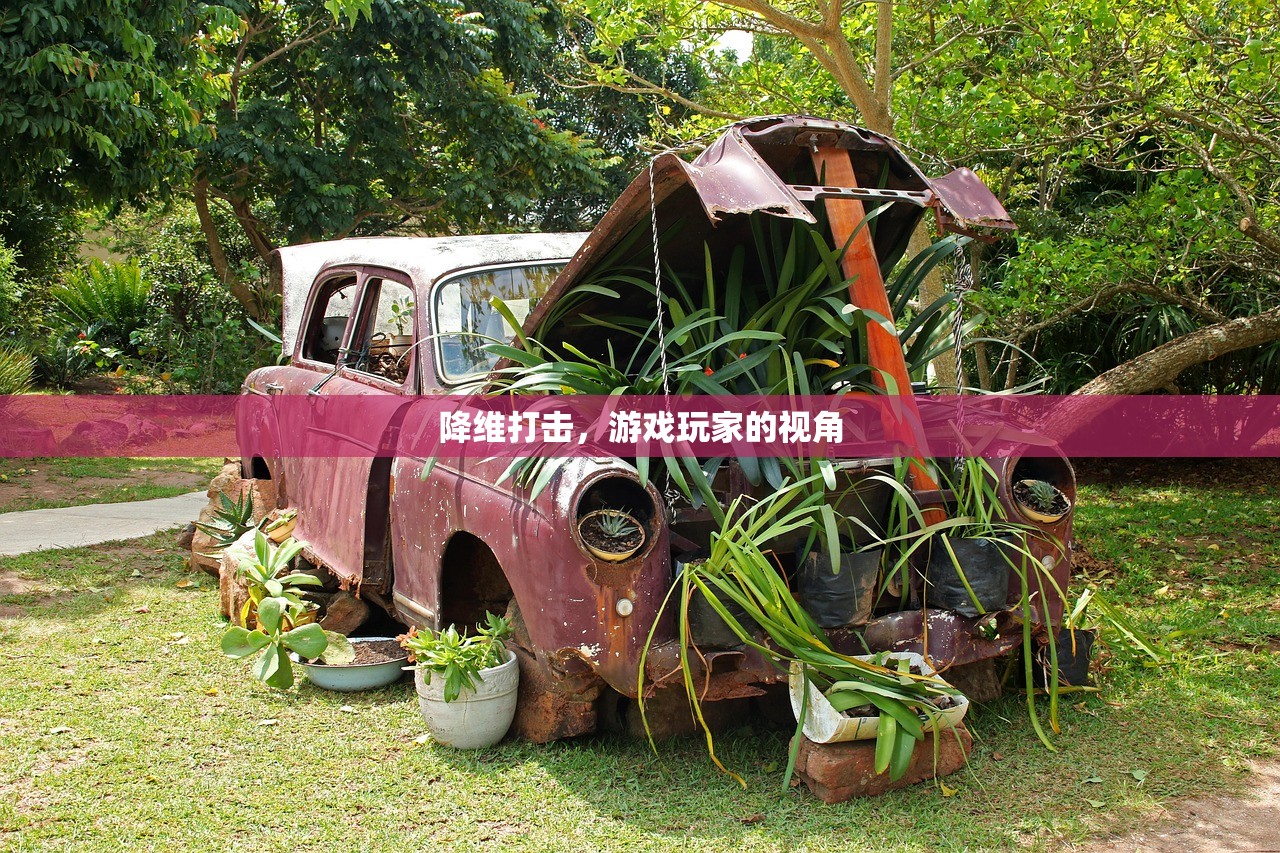 降维打击，游戏玩家的视角