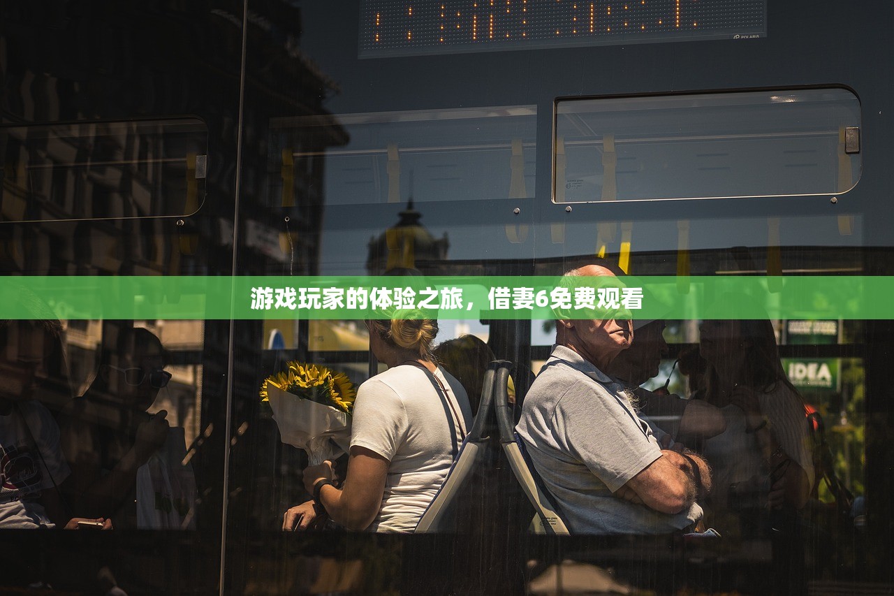 游戏玩家的体验之旅，借妻6免费观看