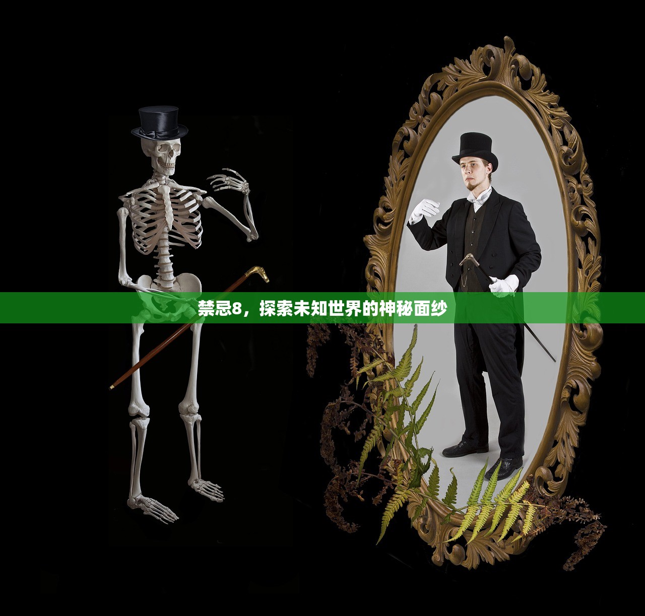 禁忌8，探索未知世界的神秘面纱