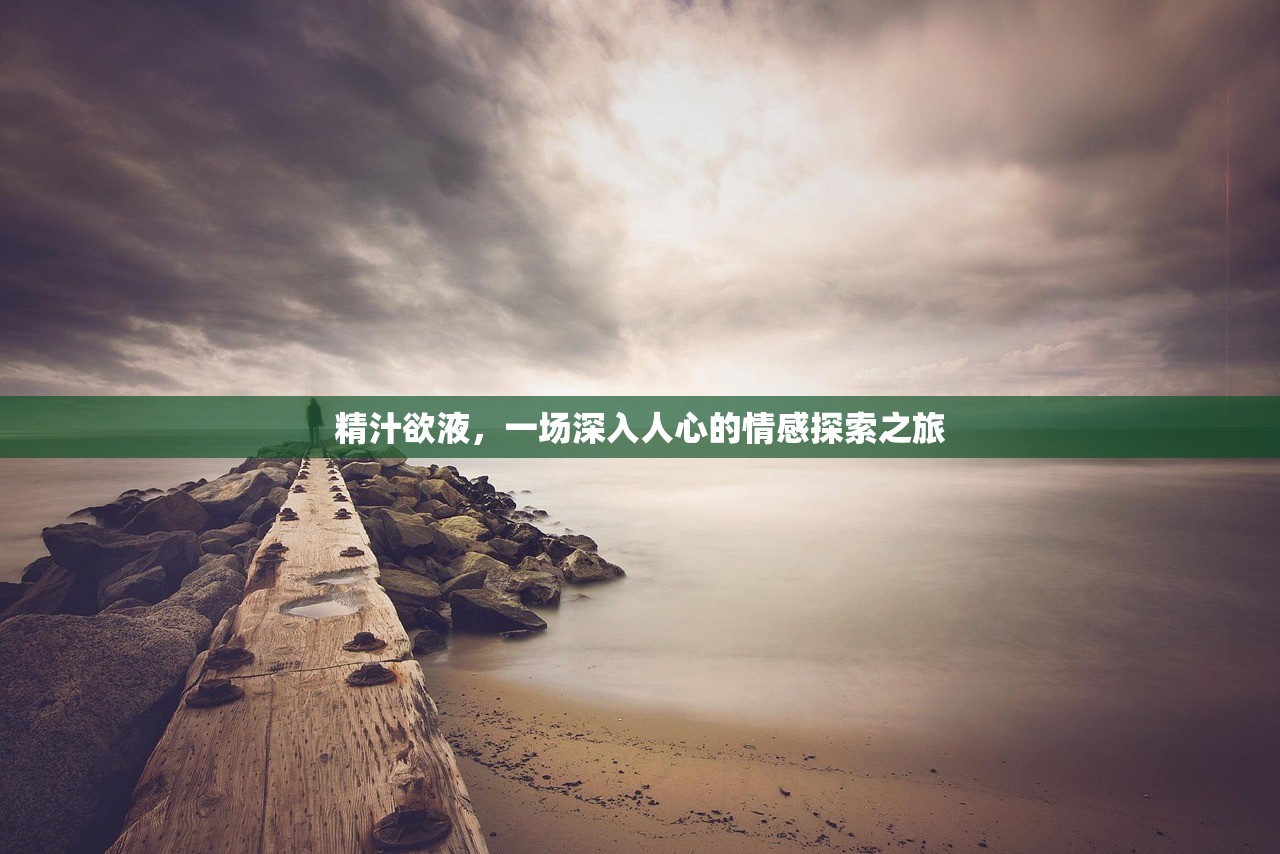 精汁欲液，一场深入人心的情感探索之旅