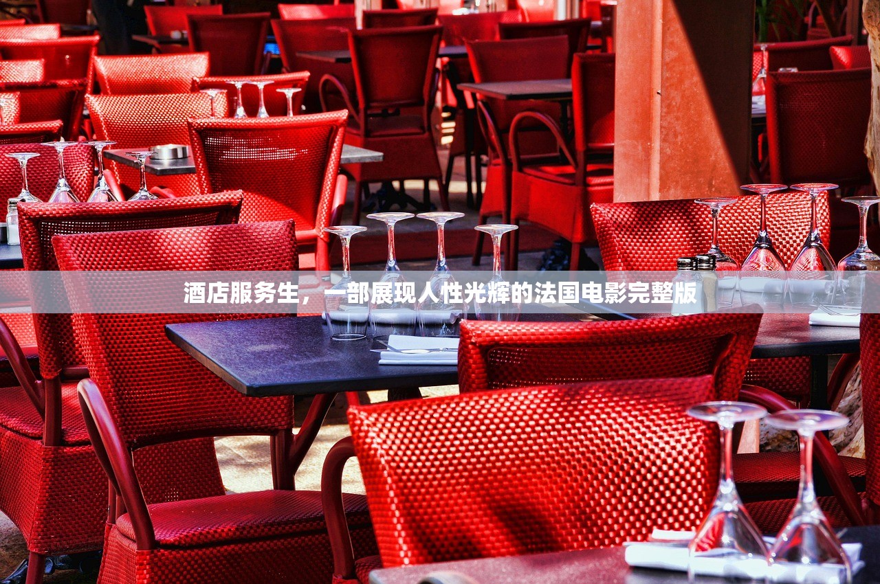 酒店服务生，一部展现人性光辉的法国电影完整版