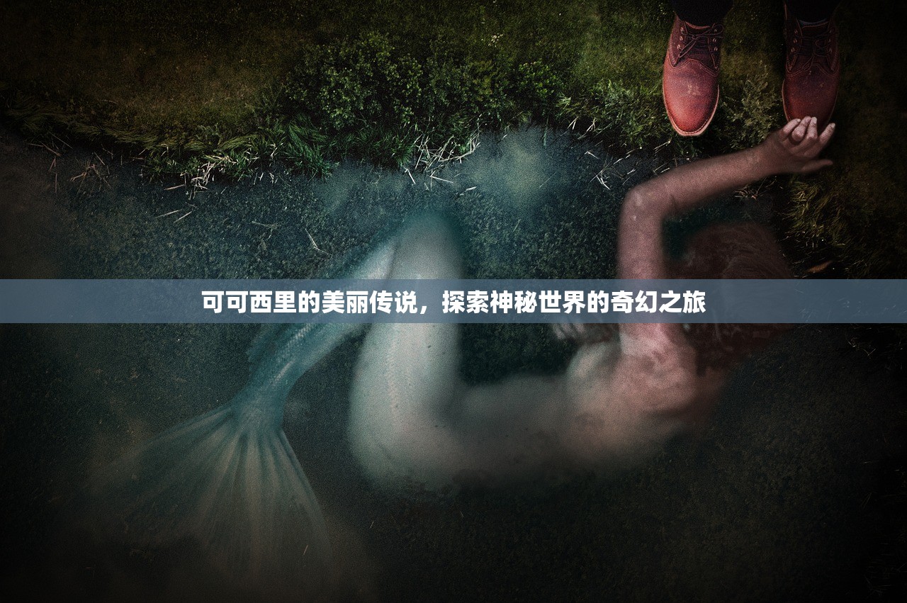 可可西里的美丽传说，探索神秘世界的奇幻之旅