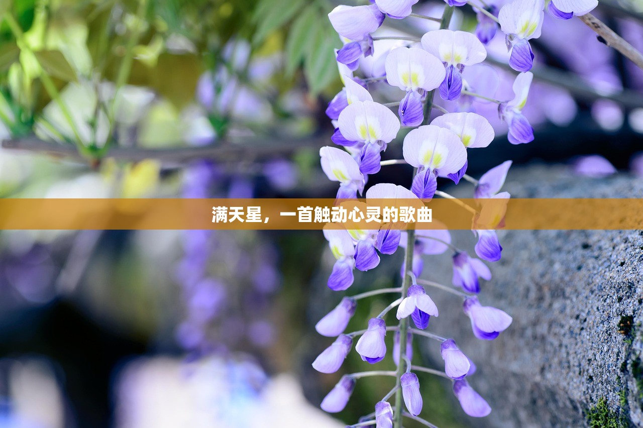 满天星，一首触动心灵的歌曲