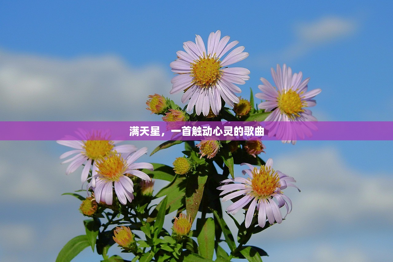 满天星，一首触动心灵的歌曲