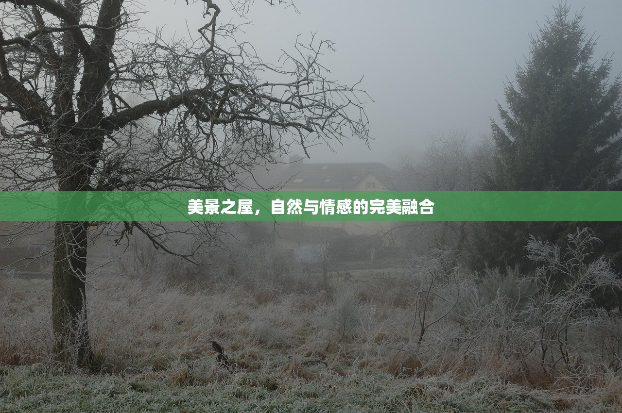 美景之屋，自然与情感的完美融合
