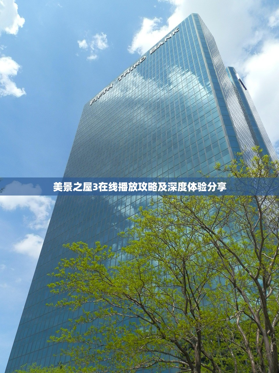 美景之屋3在线播放攻略及深度体验分享