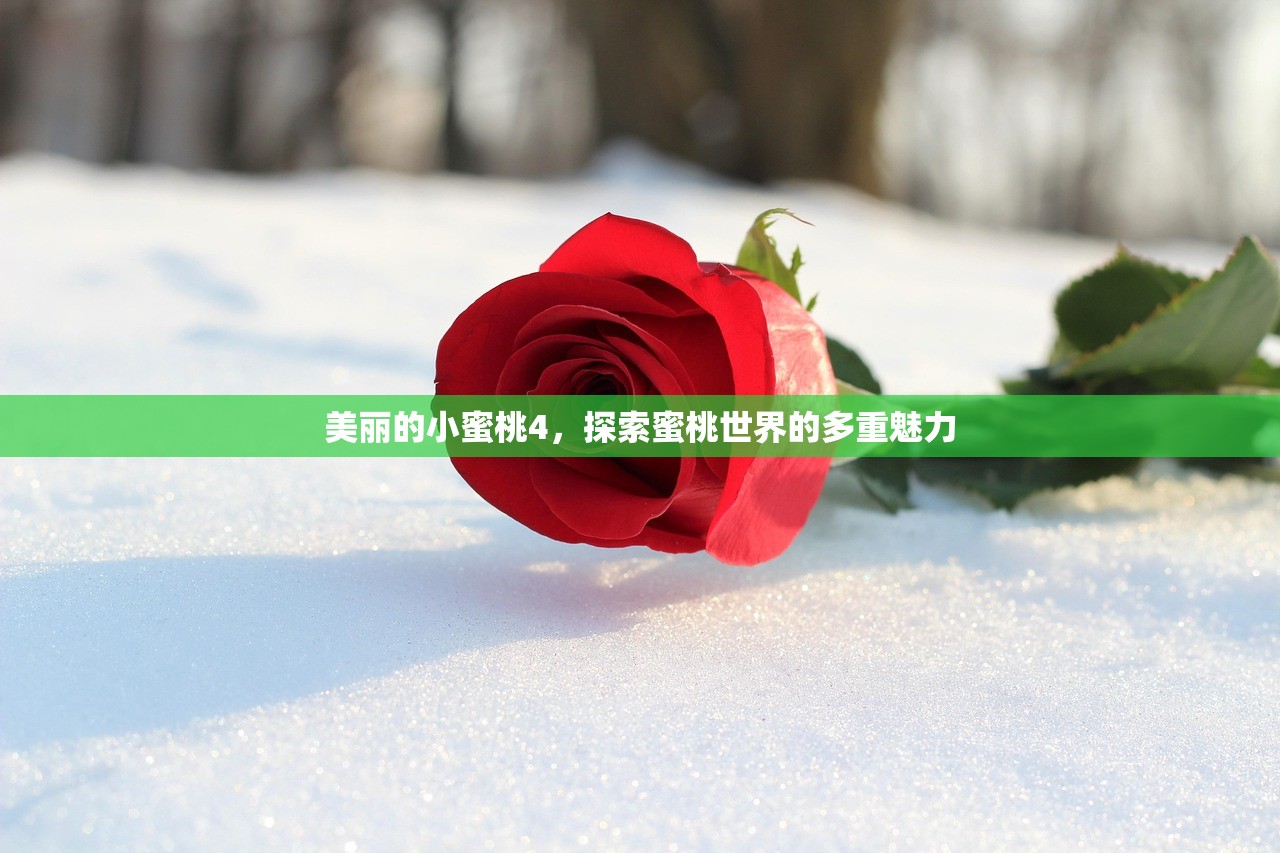 美丽的小蜜桃4，探索蜜桃世界的多重魅力