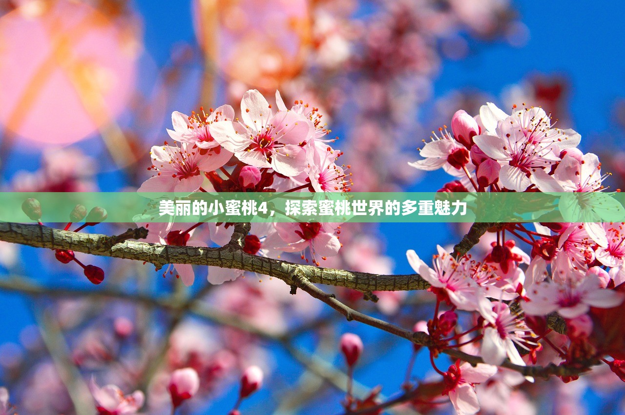 美丽的小蜜桃4，探索蜜桃世界的多重魅力