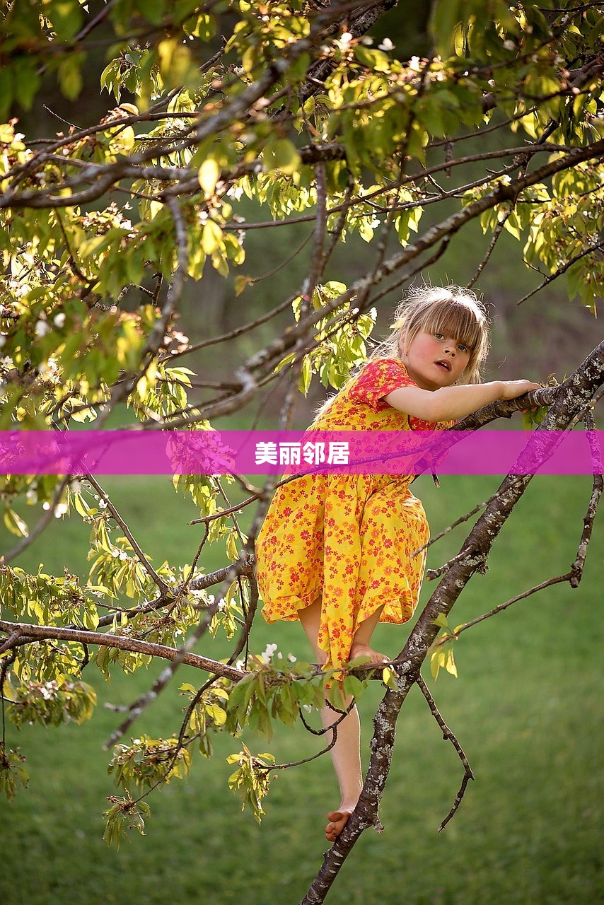 美丽邻居