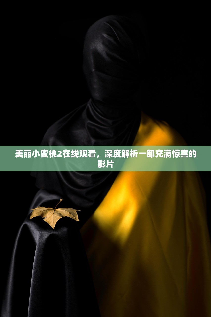 美丽小蜜桃2在线观看，深度解析一部充满惊喜的影片